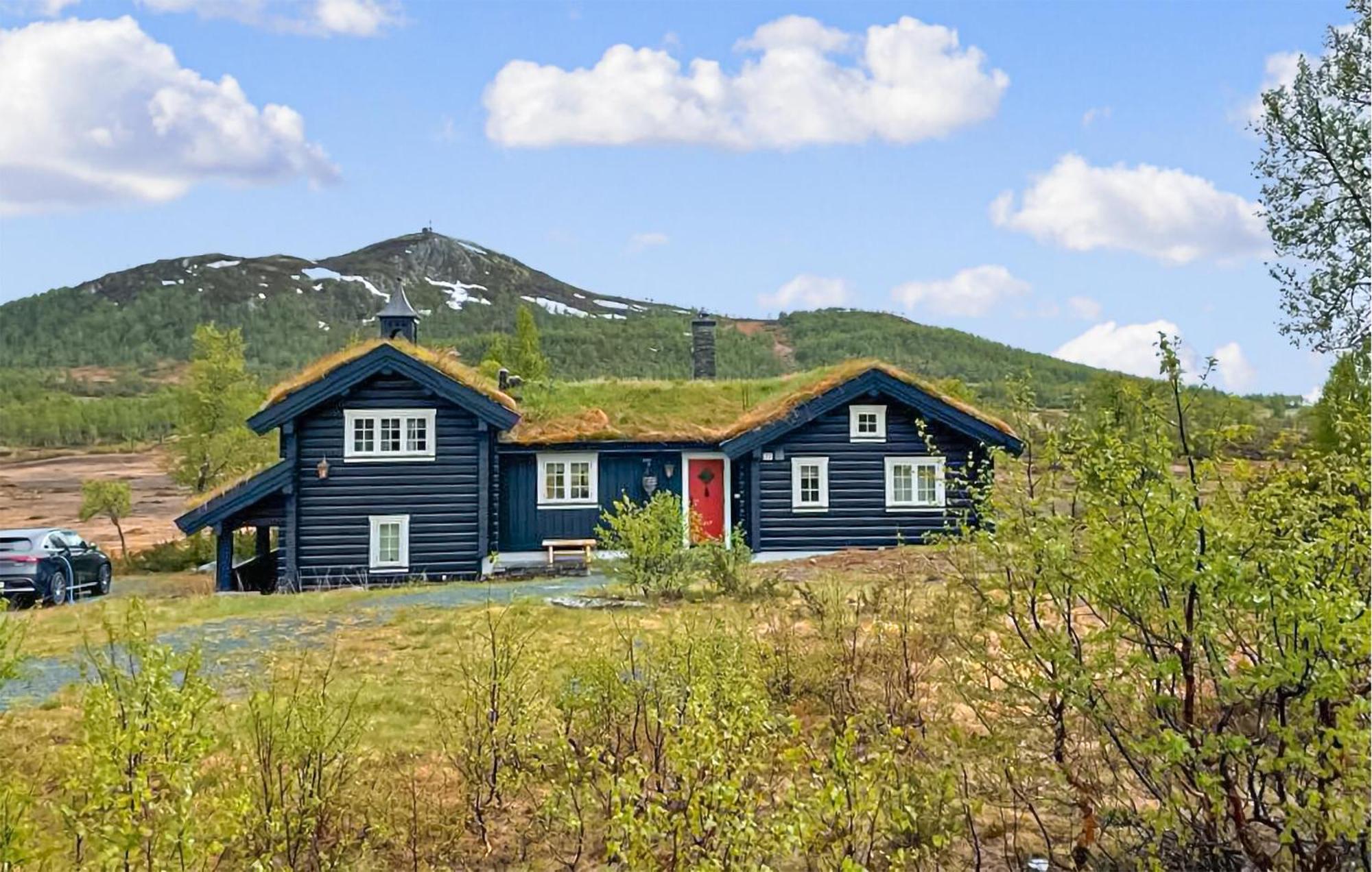 Cozy Home In Rauland With Sauna Exterior foto